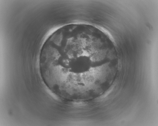 X0000115741231200911251953