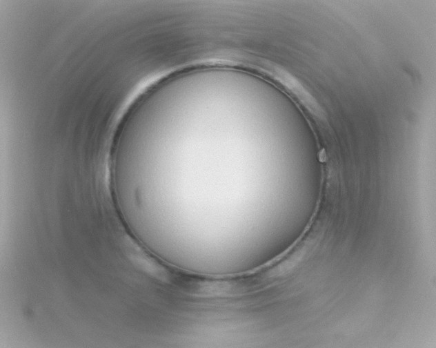 X0000115741232200911251953