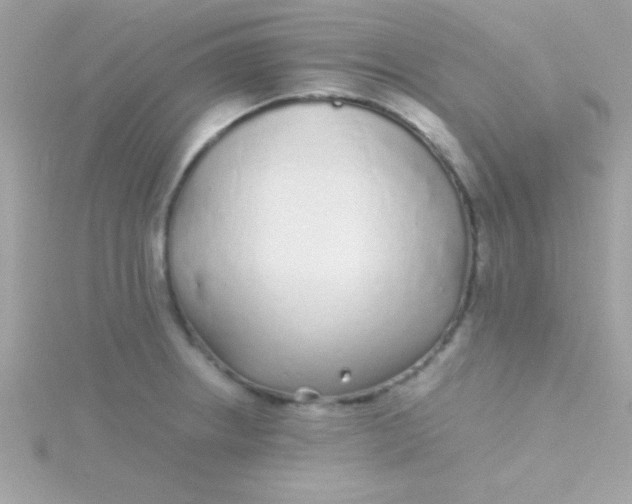 X0000115741234200911251953