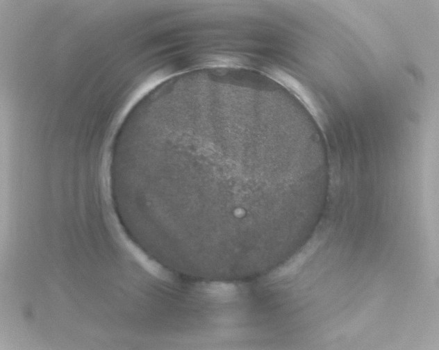 X0000115741235200911251953