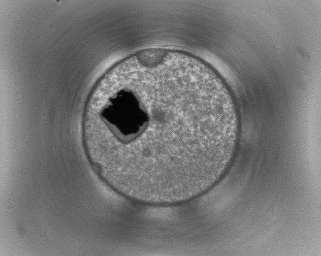 X0000115741237200911251953