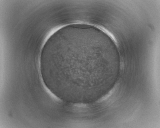 X0000115741239200911251953