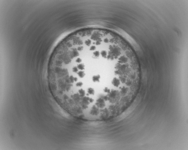 X0000115741240200911251953