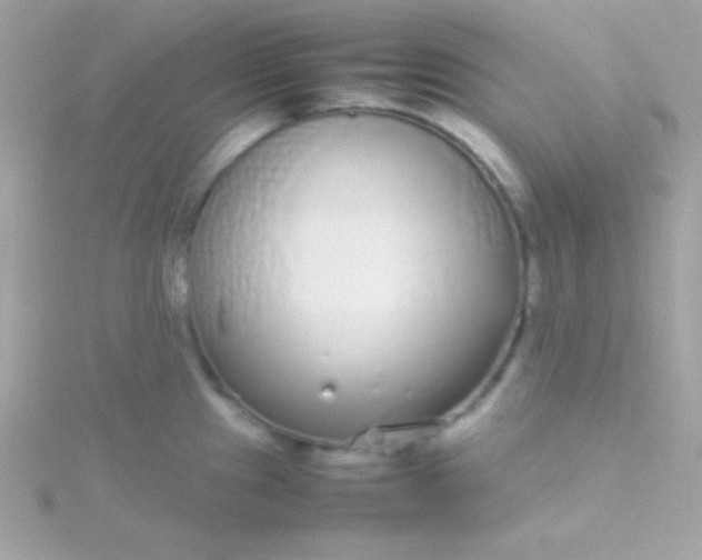 X0000115741241200911251953