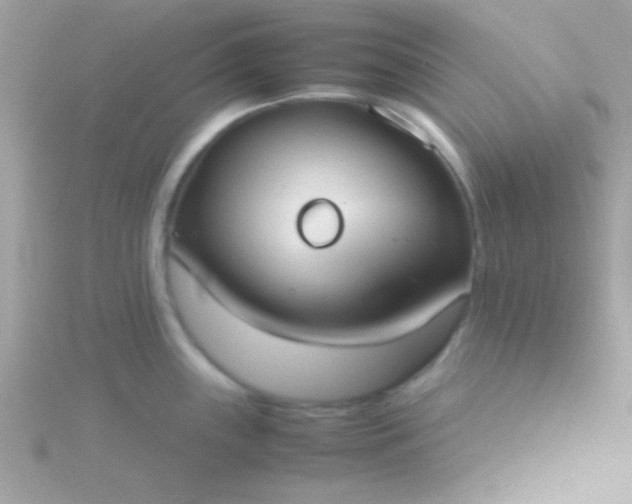 X0000115741243200911251953