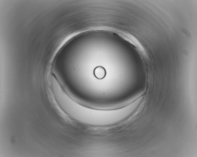 X0000115741244200911251953