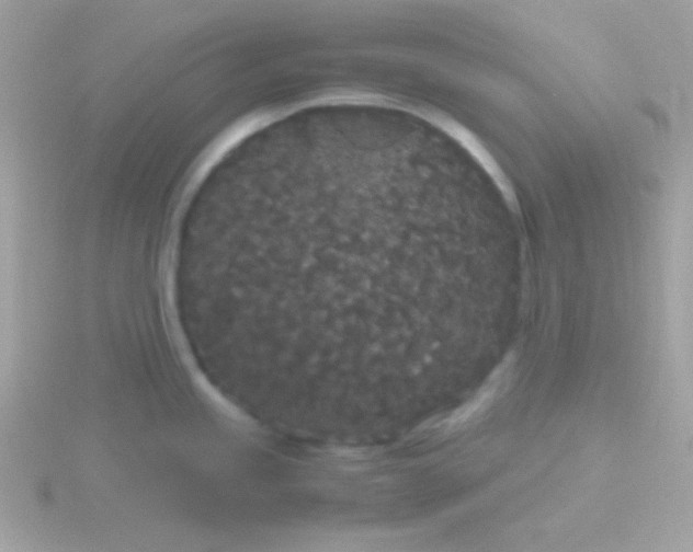 X0000115741245200911251953