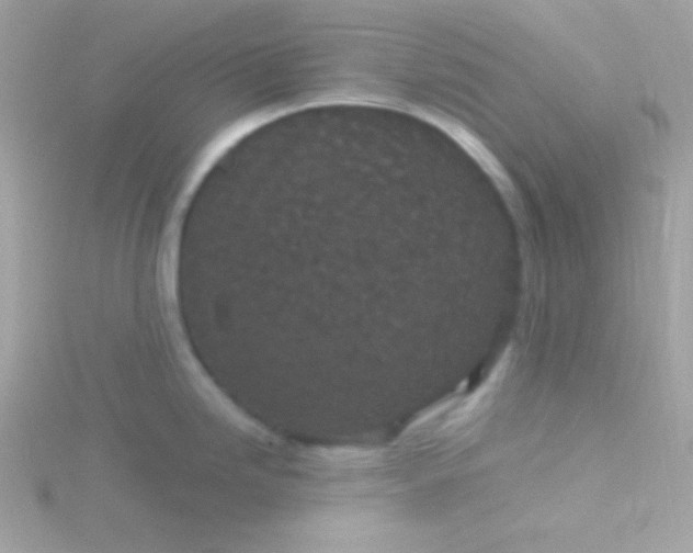 X0000115741246200911251953