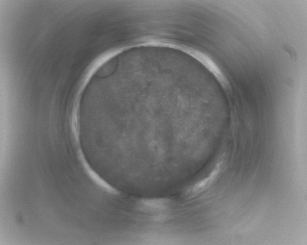 X0000115741247200911251953