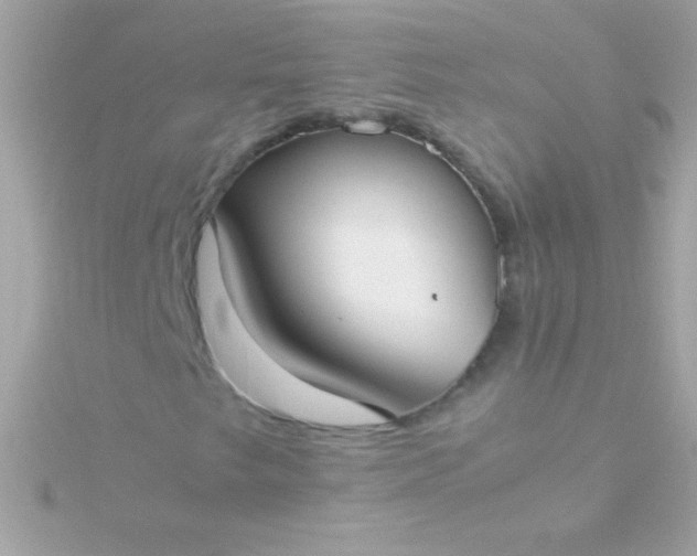 X0000115741249200911251952