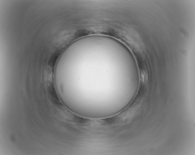 X0000115741251200911251952