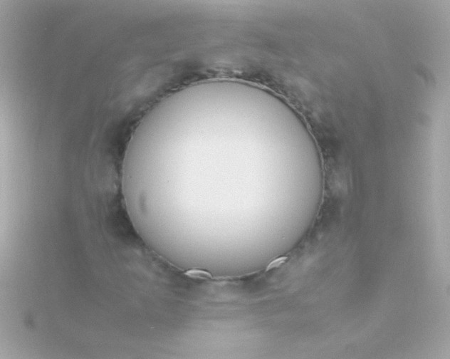 X0000115741253200911251952