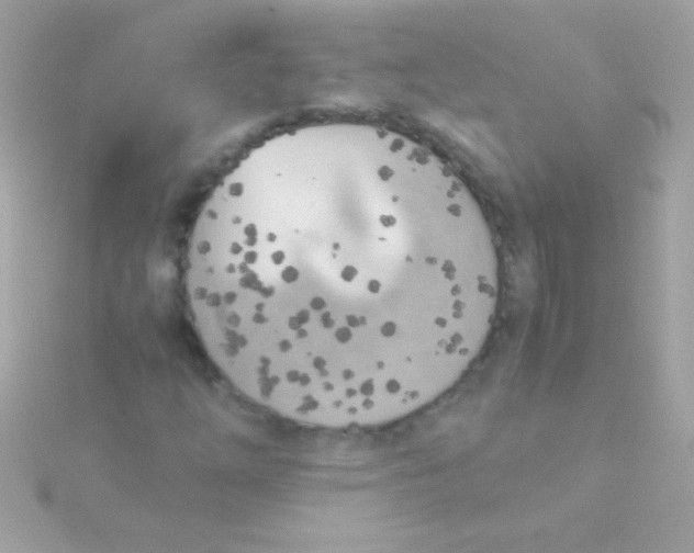 X0000115741254200911251952