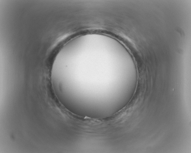 X0000115741255200911251952