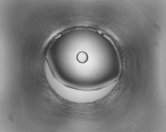 X0000115741256200911251952