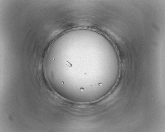 X0000115741257200911251952