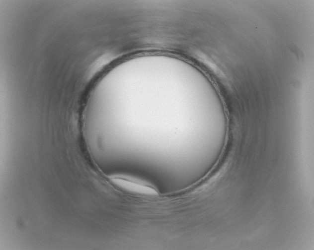 X0000115741259200911251952