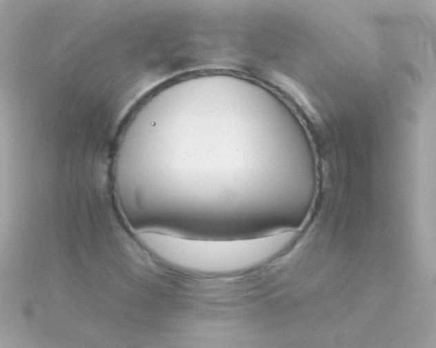 X0000115741260200911251952