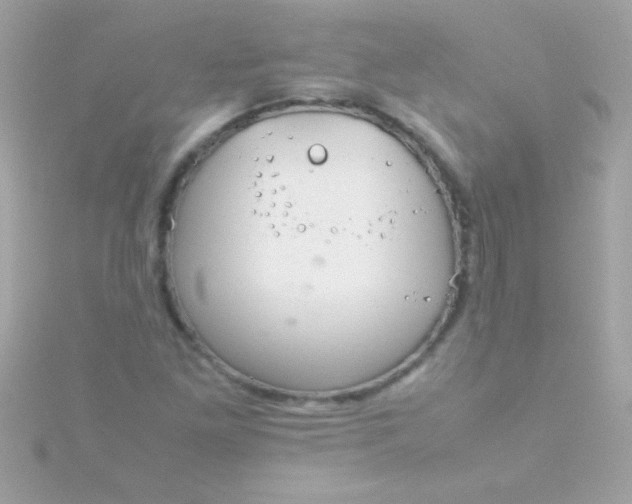 X0000115741261200911251952