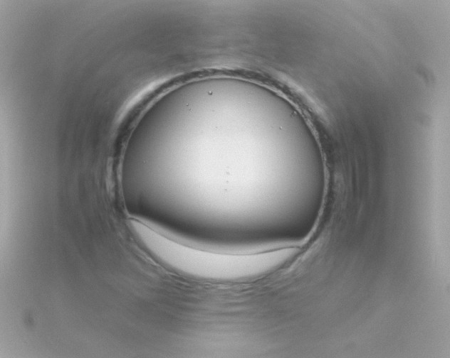 X0000115741262200911251952