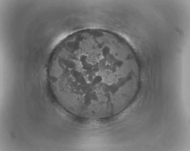 X0000115741263200911251952