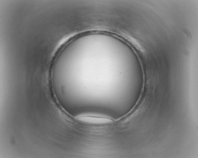 X0000115741264200911251952