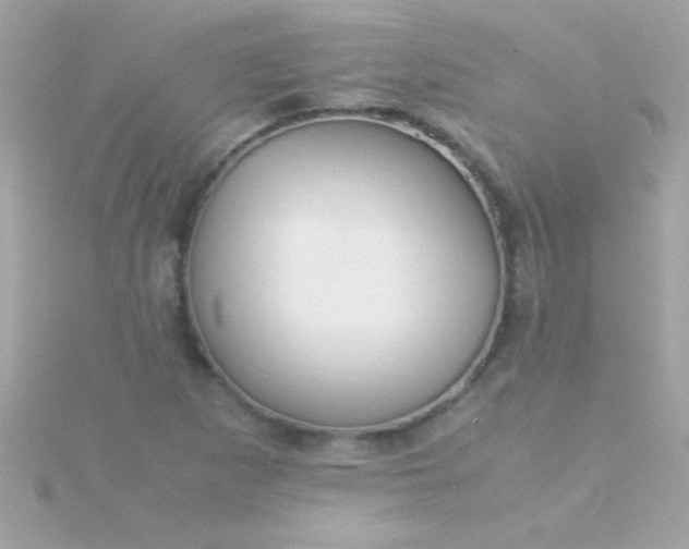 X0000115741265200911251952