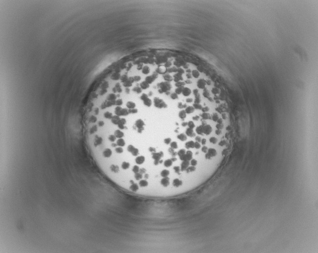 X0000115741266200911251952