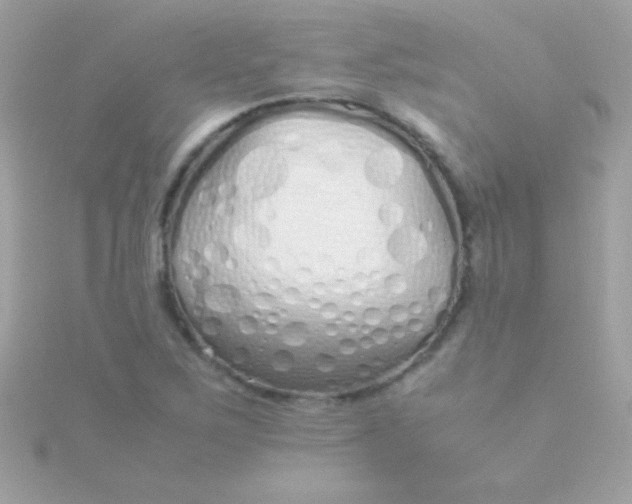 X0000115741267200911251952