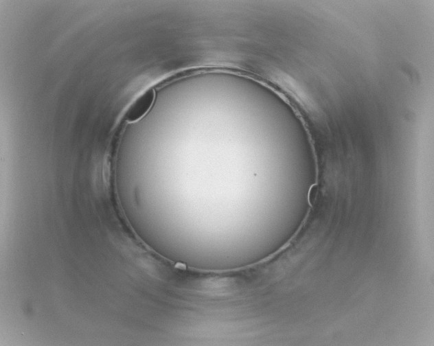 X0000115741268200911251952