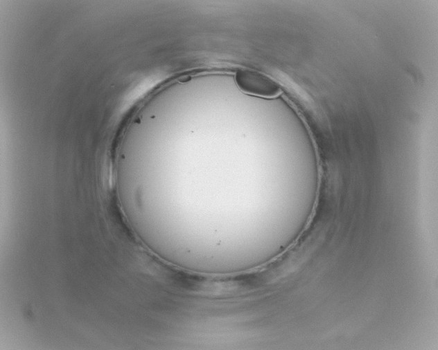 X0000115741269200911251952