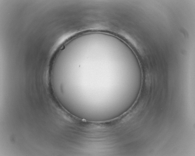 X0000115741270200911251952