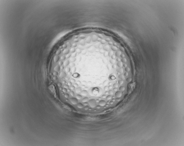 X0000115741271200911251952