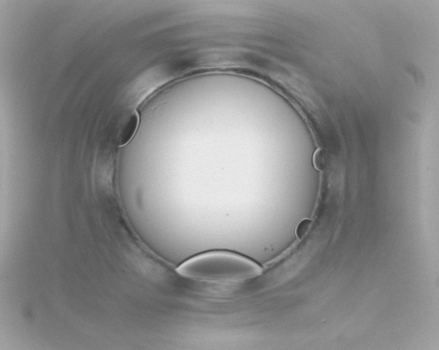 X0000115741273200911251952