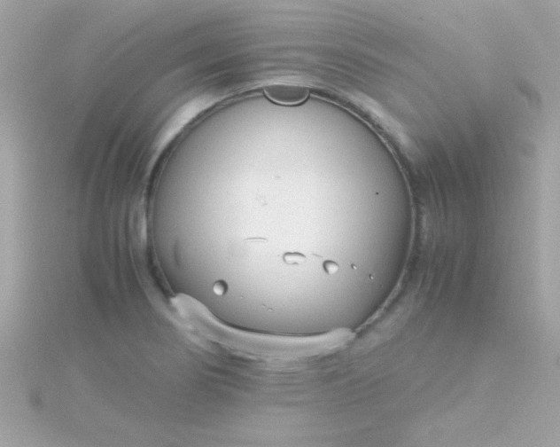 X0000115741274200911251952