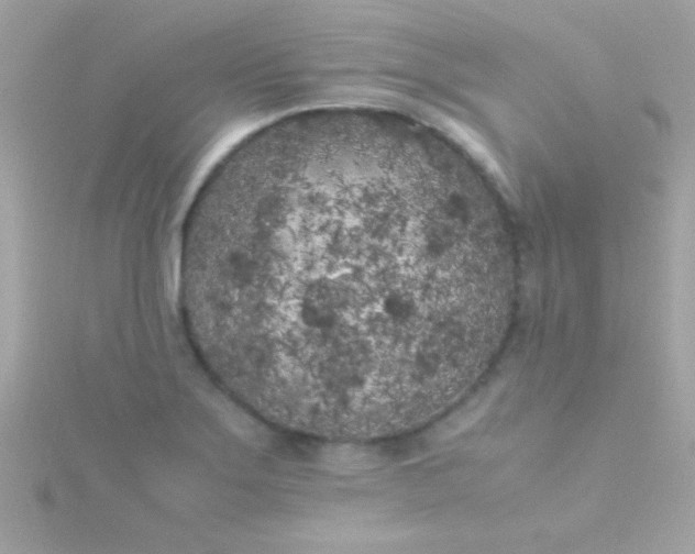 X0000115741275200911251952