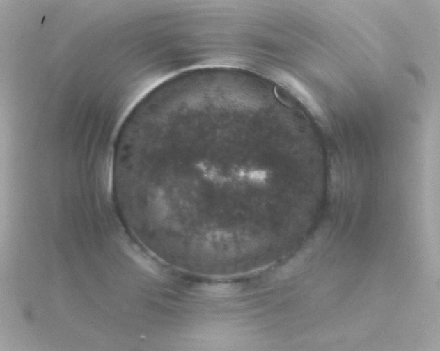 X0000115741276200911251952