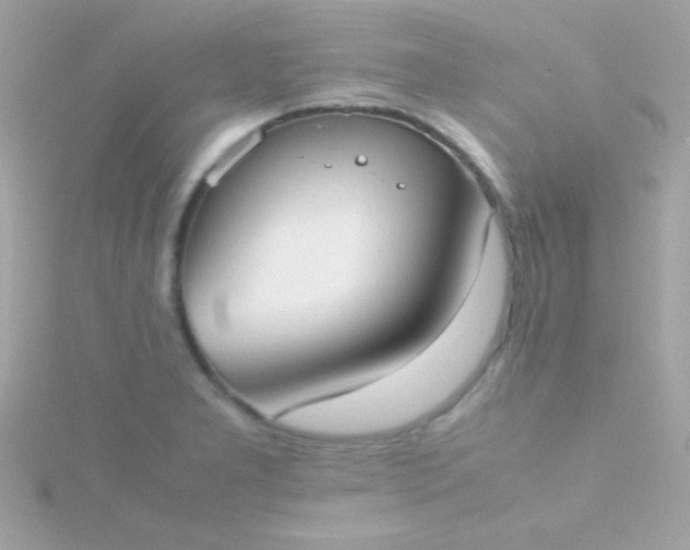 X0000115741277200911251952