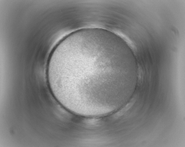 X0000115741278200911251952