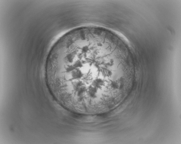 X0000115741279200911251952