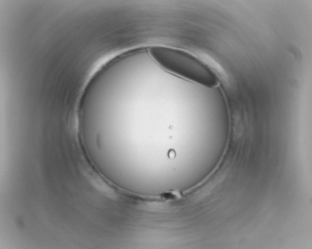 X0000115741280200911251952