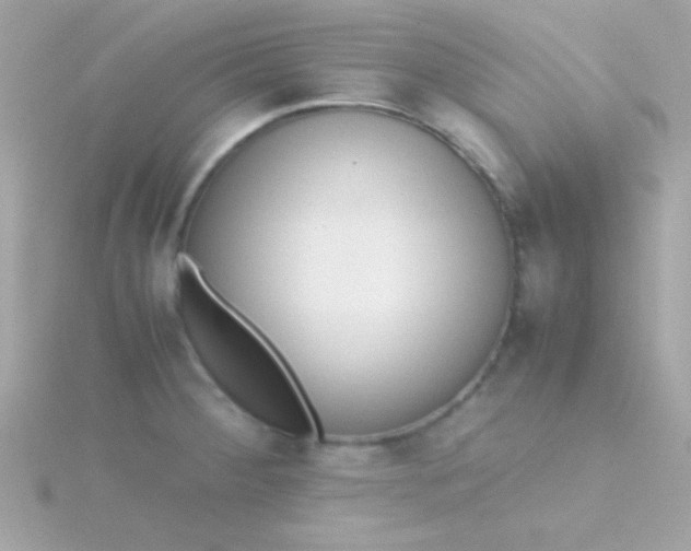 X0000115741284200911251952