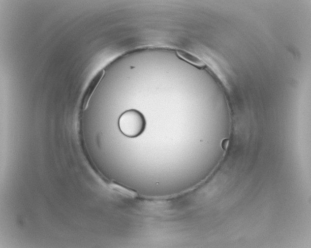 X0000115741285200911251952