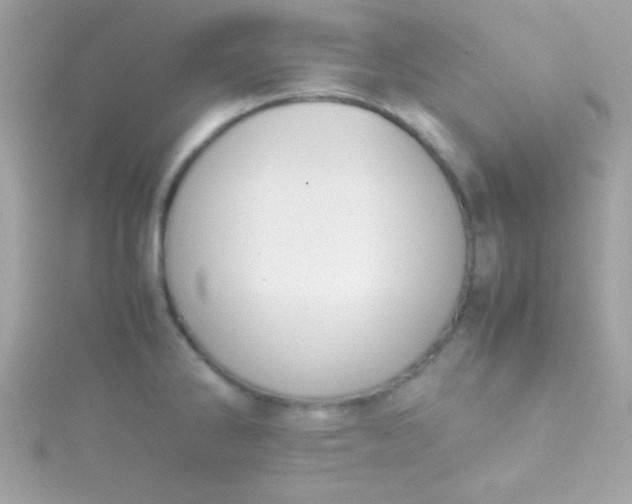 X0000115741286200911251952