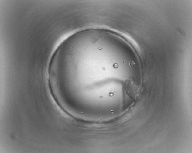 X0000115741287200911251952