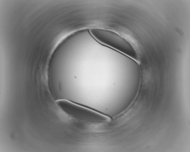 X0000115741288200911251952