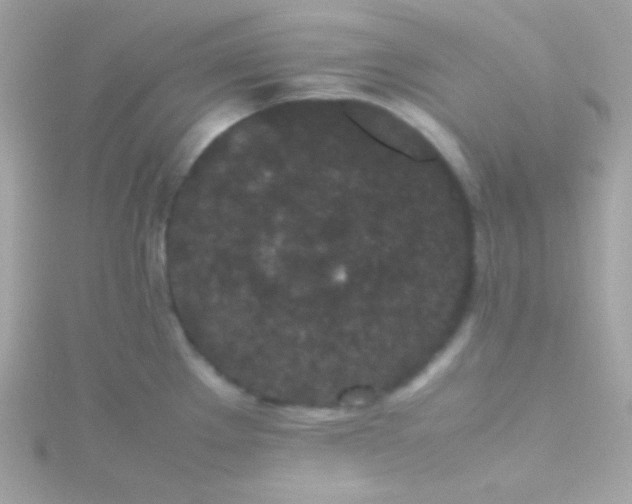 X0000115741289200911251952