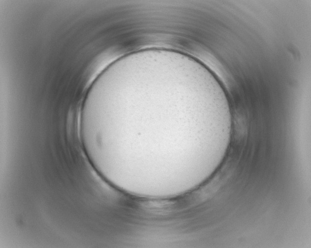 X0000115741290200911251952