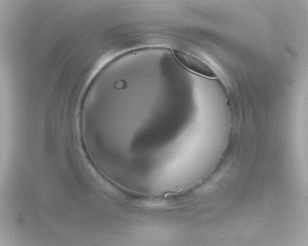 X0000115741291200911251952