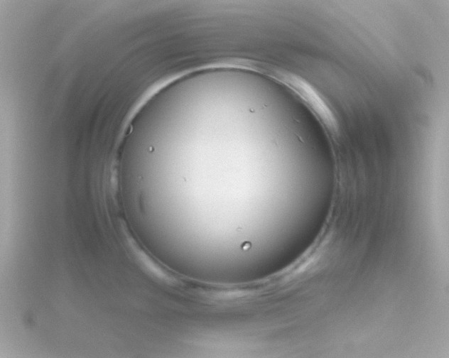 X0000115741292200911251952